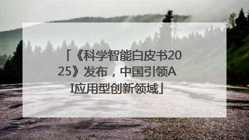 《科学智能白皮书2025》发布，中国引领AI应用型创新领域
