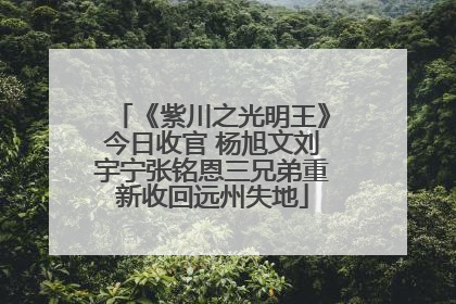 《紫川之光明王》今日收官 杨旭文刘宇宁张铭恩三兄弟重新收回远州失地