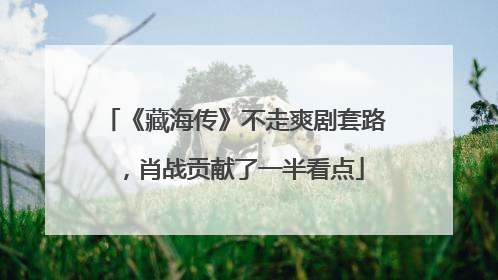 《藏海传》不走爽剧套路，肖战贡献了一半看点