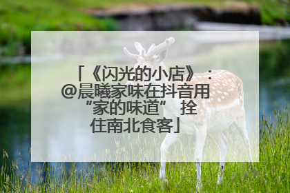 《闪光的小店》：@晨曦家味在抖音用 “家的味道” 拴住南北食客
