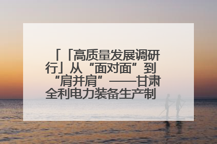「高质量发展调研行」从“面对面”到“肩并肩”——甘肃全利电力装备生产制造项目一线见闻