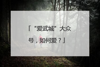 “爱武城”大众号，如何爱？