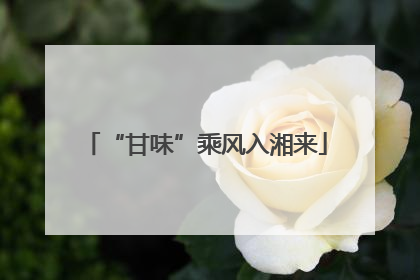 “甘味”乘风入湘来