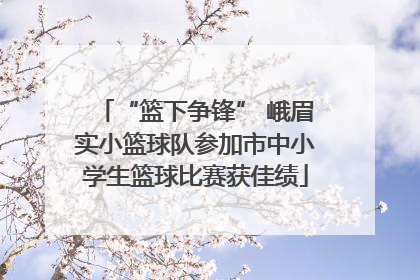 “篮下争锋” 峨眉实小篮球队参加市中小学生篮球比赛获佳绩