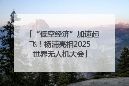 “低空经济”加速起飞！杨浦亮相2025世界无人机大会