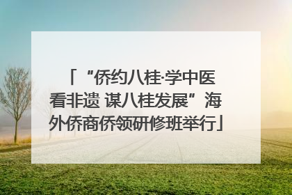 “侨约八桂·学中医 看非遗 谋八桂发展”海外侨商侨领研修班举行