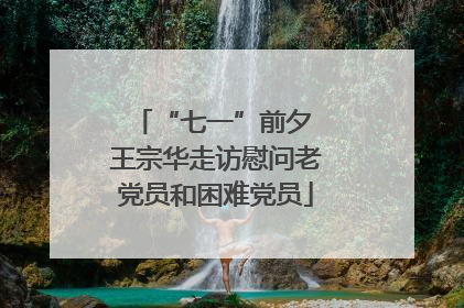 “七一”前夕 王宗华走访慰问老党员和困难党员