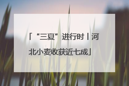 “三夏”进行时丨河北小麦收获近七成