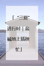 “三夏”进行时｜盐碱地上插秧忙