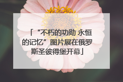 “不朽的功勋 永恒的记忆”图片展在俄罗斯圣彼得堡开幕