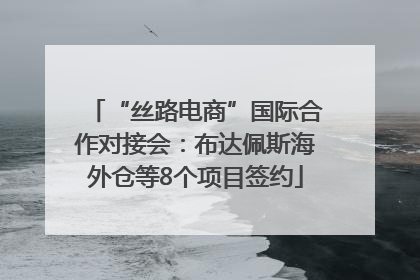 “丝路电商”国际合作对接会：布达佩斯海外仓等8个项目签约