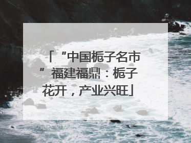 “中国栀子名市”福建福鼎：栀子花开，产业兴旺