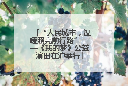 “人民城市，温暖照亮前行路”——《我的梦》公益演出在沪举行