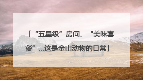 “五星级”房间、“美味套餐”…这是金山动物的日常