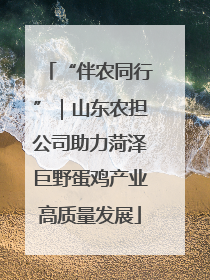“伴农同行”｜山东农担公司助力菏泽巨野蛋鸡产业高质量发展