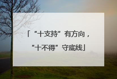 “十支持”有方向，“十不得”守底线
