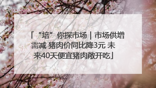 “培”你探市场｜市场供增需减 猪肉价同比降3元 未来40天便宜猪肉敞开吃