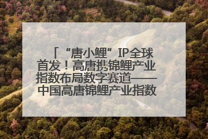 “唐小鲤”IP全球首发！高唐携锦鲤产业指数布局数字赛道——中国高唐锦鲤产业指数暨“唐小鲤”IP全球首发仪式在杭州举行