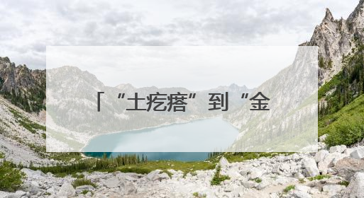 “土疙瘩”到“金疙瘩”，看肥城旅店村生姜种植从传统农作到“云上”热销的蝶变之路