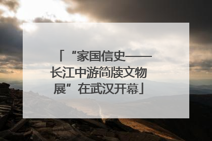 “家国信史——长江中游简牍文物展”在武汉开幕