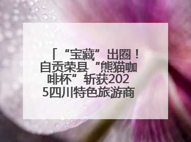 “宝藏”出圈！自贡荣县“熊猫咖啡杯”斩获2025四川特色旅游商品大赛铜奖