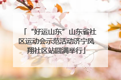 “好运山东”山东省社区运动会示范活动济宁凤翔社区站圆满举行