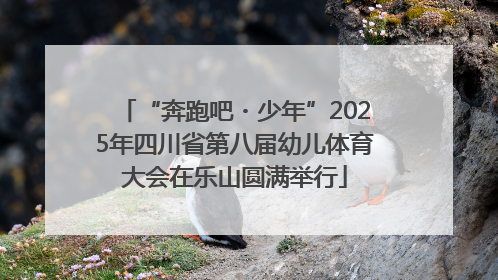 “奔跑吧・少年”2025年四川省第八届幼儿体育大会在乐山圆满举行