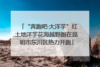 “奔跑吧·大洋芋”红土地洋芋花海越野跑在昆明市东川区热力开跑