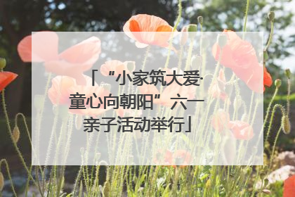 “小家筑大爱·童心向朝阳”六一亲子活动举行