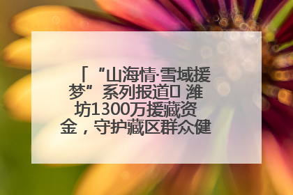 “山海情·雪域援梦”系列报道⑪ 潍坊1300万援藏资金，守护藏区群众健康“最后一公里”