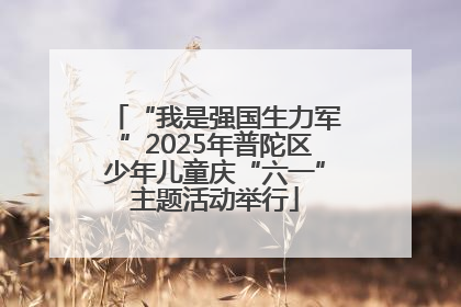 “我是强国生力军”2025年普陀区少年儿童庆“六一”主题活动举行