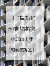 “指尖花”开到世界橱窗 小凉山千年纹样绽新色