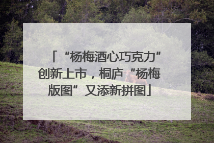 “杨梅酒心巧克力”创新上市，桐庐“杨梅版图”又添新拼图