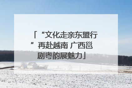 “文化走亲东盟行”再赴越南 广西邕剧粤韵展魅力