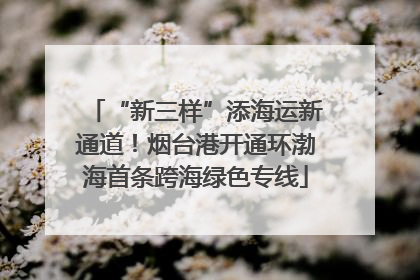 “新三样”添海运新通道！烟台港开通环渤海首条跨海绿色专线