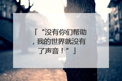 “没有你们帮助，我的世界就没有了声音！”