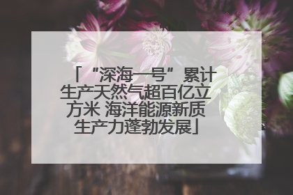“深海一号”累计生产天然气超百亿立方米 海洋能源新质生产力蓬勃发展