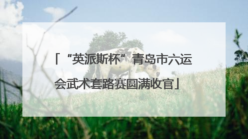 “英派斯杯”青岛市六运会武术套路赛圆满收官