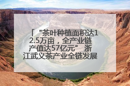“茶叶种植面积达12.5万亩，全产业链产值达57亿元” 浙江武义茶产业全链发展“加速度”