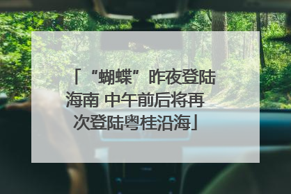 “蝴蝶”昨夜登陆海南 中午前后将再次登陆粤桂沿海