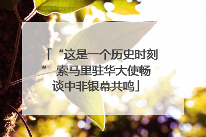 “这是一个历史时刻” 索马里驻华大使畅谈中非银幕共鸣