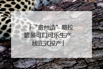 “贵州造”易拉罐装可口可乐生产线正式投产
