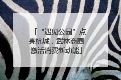 “遇见公园”点亮杭城，武林商圈激活消费新动能