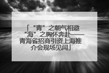 “青”之朝气相邀 “海”之胸怀奔赴——青海省招商引资上海推介会现场见闻