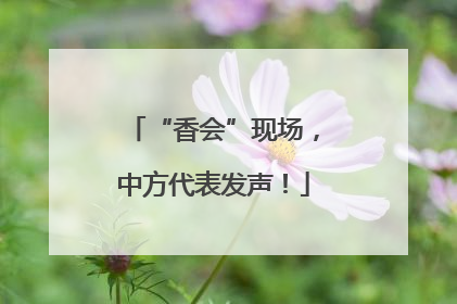 “香会”现场，中方代表发声！