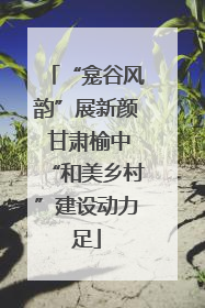 “龛谷风韵”展新颜 甘肃榆中“和美乡村”建设动力足