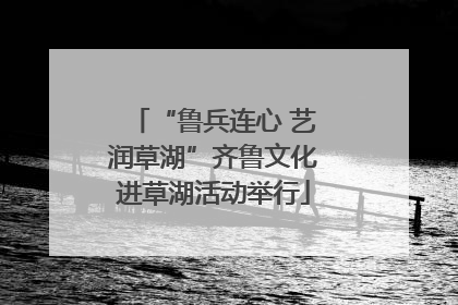 “鲁兵连心 艺润草湖”齐鲁文化进草湖活动举行