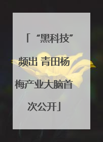 “黑科技”频出 青田杨梅产业大脑首次公开