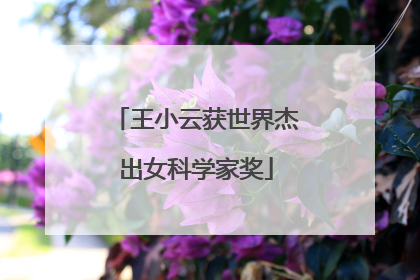 王小云获世界杰出女科学家奖