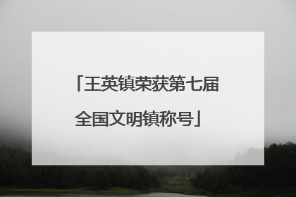 王英镇荣获第七届全国文明镇称号
